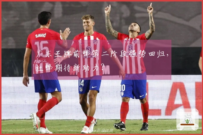 广东王牌前锋第二阶段强势回归，杜锋期待新助力？